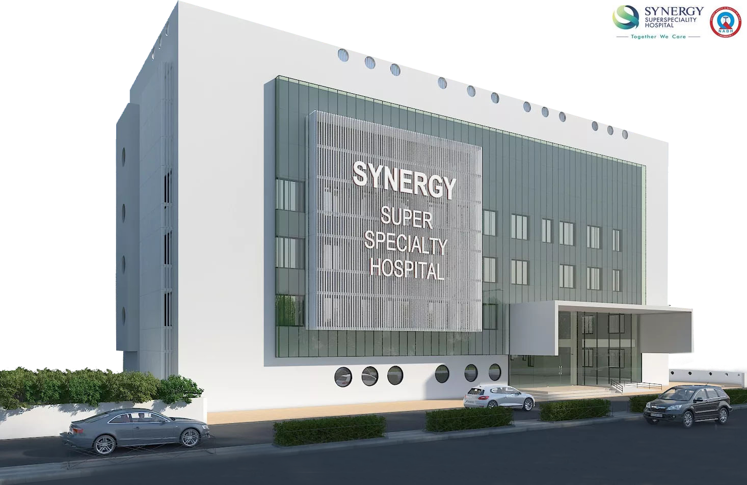 Star Synergy Hospital Logo